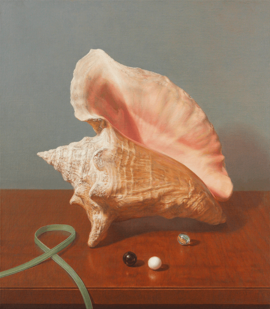 Oil painting Conch Shell by John Hansen Artist